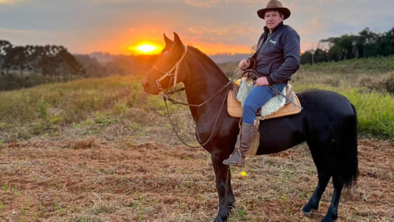 O cavalo como símbolo: saiba mais sobre a presença cultural e espiritual desse animal em diferentes tradições Altevir Seidel revela como o cavalo se tornou um símbolo cultural e espiritual em diversas tradições ao longo da história.