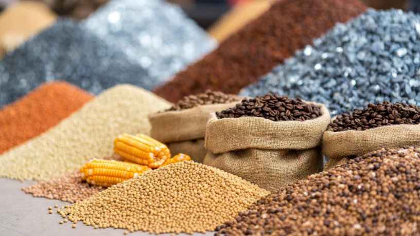 Para Aldo Vendramin, entender o cenário global é essencial para decisões no mercado de commodities.