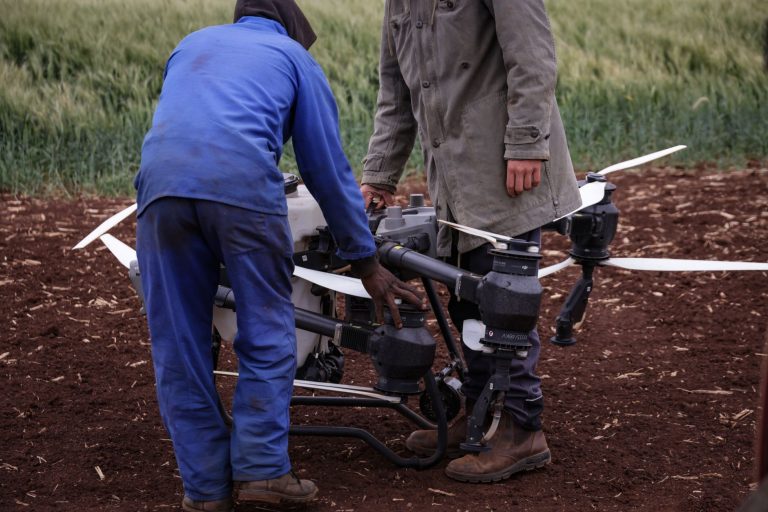 Dois agricultores utilizam um drone para monitorar uma plantação.